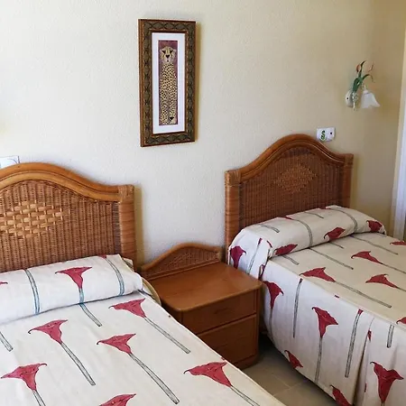 Appartamento Magnificent With A Pool In Nova Oliva
